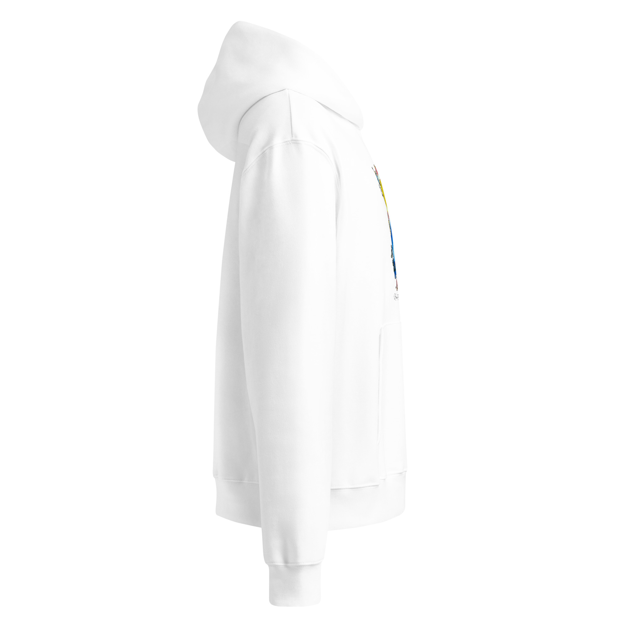 Oversized heavyweight hoodie Collection Hector Hyppolite - Image 5